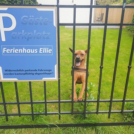 Ferienhaus Ellie Haffkrug Eksteriør bilde